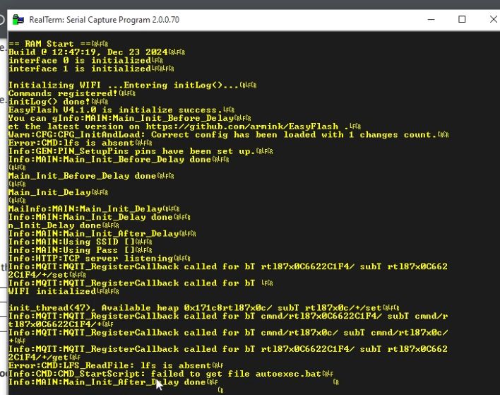 RealTerm Log Screenshot Screenshot from RealTerm showing boot log of an IoT module.