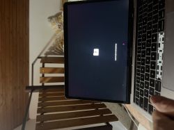 MacBook Pro A1706 2017 13 - nie wykrywa dysku 500GB, co dalej?
