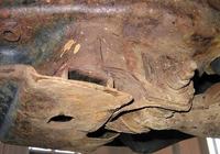 Kupno samochodu z silnikiem diesla do 20tys.