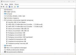 Widok Menedżera urządzeń z rozwiniętą sekcją Kontrolery USB