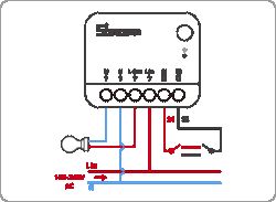 SONOFF MINIR4M Matter and SR-8001A - is the L from the output connected to S2?
