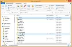 Pendrive GOODRAM - krzaczki zamiast nazw folderów i plików, puste foldery Pendrive GOODRAM - krzaczki zamiast nazw folderów i plików, puste foldery