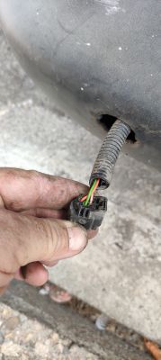 Zbliżenie wtyczki elektrycznej czujnika parkowania z trzema przewodami w samochodzie Citroën Berlingo B9.