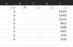 Kolumna B i E w arkuszu Excel z różnymi wartościami do filtrowania.