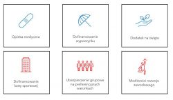 Ikony przedstawiające benefity dla pracowników TB Truck & Trailer Serwis.