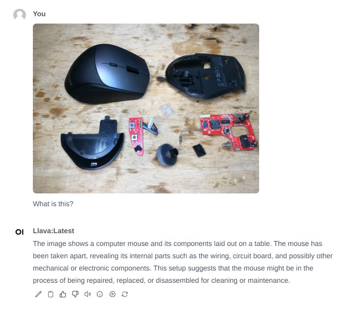 Disassembled Computer Mouse Disassembled computer mouse on a table with visible internal components.