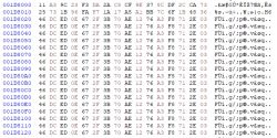 Screenshot of a hex data snippet.