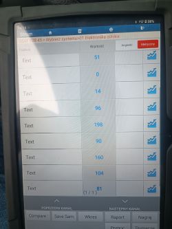 Zdjęcie ekranu urządzenia diagnostycznego wyświetlającego dane z grupy 01 Elektronika silnika dla SEAT 1.9 TDI ASV z 2003 roku.