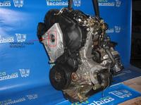 vw polo 1.9D-AEF - Czy napinacz rozrządu w tym silniku powinien być odsłonięty?