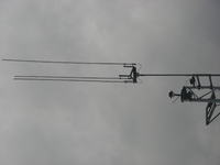 Antena do CB samoróbka proszę o pdpowiedź czy dobra.