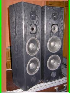 Cóż to za głośnik? YD165-6R70B