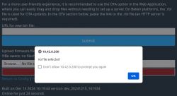 Screenshot of a web application interface for OTA updates with a message about no file selected.