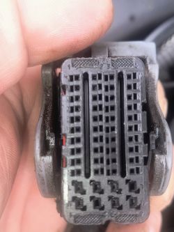 Zbliżenie na czarną wtyczkę elektryczną z rzędami ponumerowanych pinów