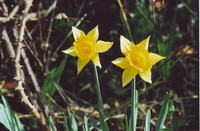 Lustrzanka DIY - projekt mechaniczny