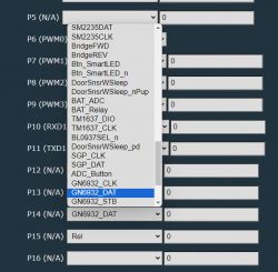 Screenshot of a pin configuration interface.