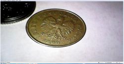 Endoskop USB ze sklepiku elektrody - prezentacja