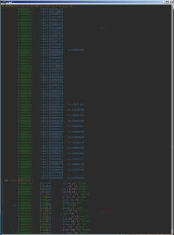 Screenshot of an urxvt terminal showing memory addresses and assembly instructions