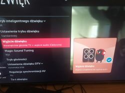 Menu ustawień dźwięku na telewizorze