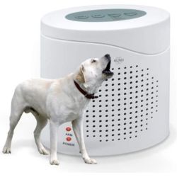 What sort of light with a timer should I use to simulate someone being at home? To deter burglars