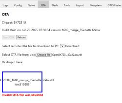 Screenshot showing detailed log of a successful OTA firmware update process, including progress bar and confirmation messages.