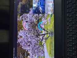 Internet module ecoNet 300 and ecoLINK2