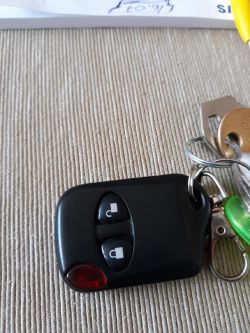 Programming Gate Remote Control: Identify Brand & Model + Fixed/Variable Code System Programming Gate Remote Control: Identify Brand & Model + Fixed/Variable Code System
