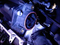 EGR Valve Blanking: Effects on Engine Performance, Emissions, and Reliability