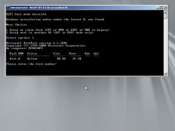 Screenshot of Windows console displaying OS installation options in UEFI mode.