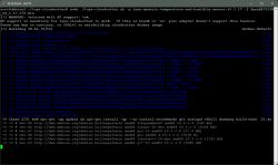 Running Tuya Cloudcutter Script on Debian Terminal window with Tuya Cloudcutter script running on Debian.