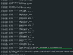 Screenshot of serial terminal showing FLAC decoder debug logs and crash