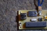 Licznik częstotliwości do 500 MHz na Atmega 48.
