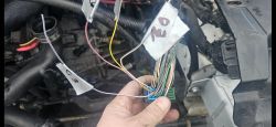 Okablowanie oznaczone etykietami D2, D3, A2 i C3 podłączone do ECU.