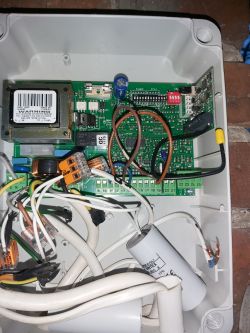 faac genius g-bat 300 - programowanie pilota na jedno skrzydło