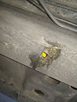 Corsa C - Water Leak at Accelerator Pedal: Damp Doormat, Leak Source & Under Hood Search