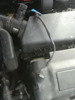 Seat Leon 1.8 20V APG r. 2004 - Niepodłączona kostka 8 pinowa koło filtru powie