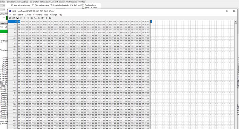 Screenshot of a hex editor with a binary file loaded and data shown in hexadecimal format.