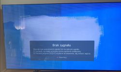 LG OLED55C31LA - poziome pasy i różna jasność, uszkodzona matryca?