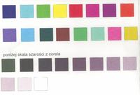 Epson Stylus pro 7800 - farbuje magentą Epson Stylus pro 7800 - farbuje magentą
