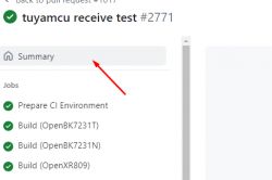 Screenshot showing GitHub interface with Summary button selected.