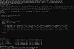 Terminal screen showing XR806 system image build and configuration, including code sections and flash layout.