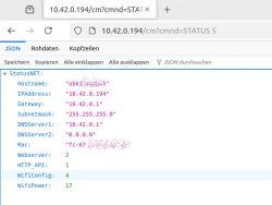 Screenshot of JSON interface displaying network information of a device.