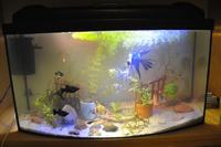 Pokrywa do akwarium 60L LED Pokrywa do akwarium 60L LED