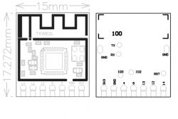 Diagram of TYWE2L and TYLC5 modules with pins and symbols.