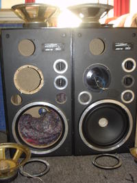 Jakie głośniki w Altusach 110 disco