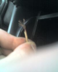 Przewody głosnikowe...zmienic? /Lutowac ,Skrecac ?