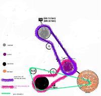 Ford Fiesta układ rozrządu rok1990 silnik 1.8D