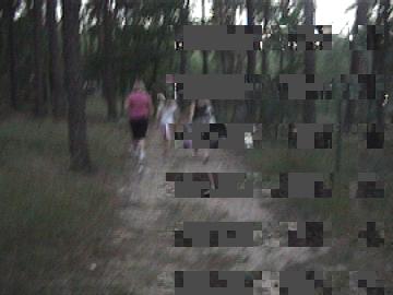 Kamera Sony DCR TRV245E - piksele na obrazie podczas odtwarzania, błąd C31:23 naprawiony