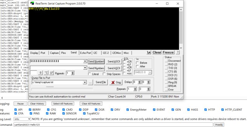 RealTerm window with serial data transmission and Hello123 shown in output
