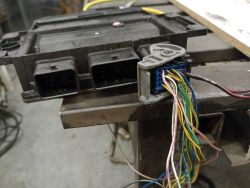 Szukam schematu do wtyczki ECU 1.5 ddis Suzuki - zdjęcia w załączniku