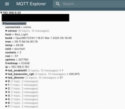 Screen of the MQTT Explorer app showing details of the connection with the homeassistant device.